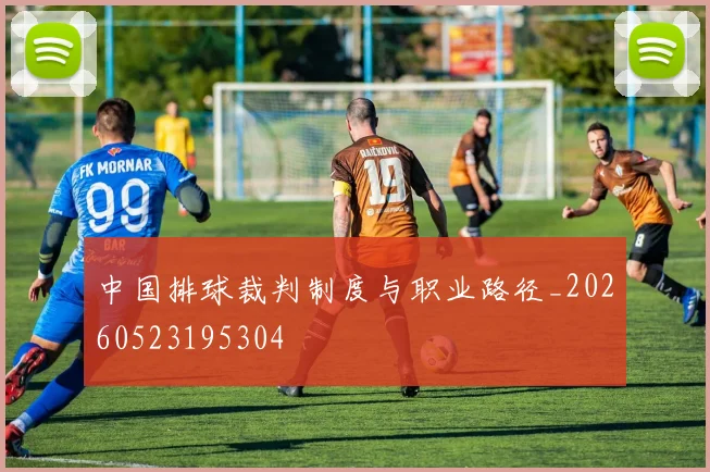 中国排球裁判制度与职业路径_20260523195304