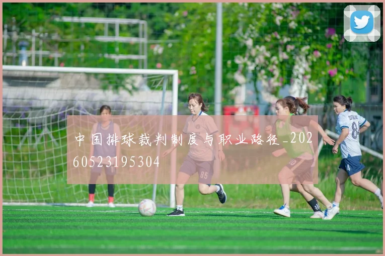 中国排球裁判制度与职业路径_20260523195304